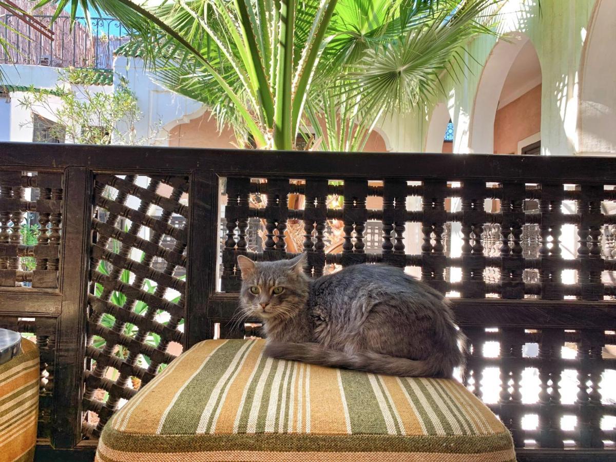 Riad Rockech Marrakesh Exterior foto
