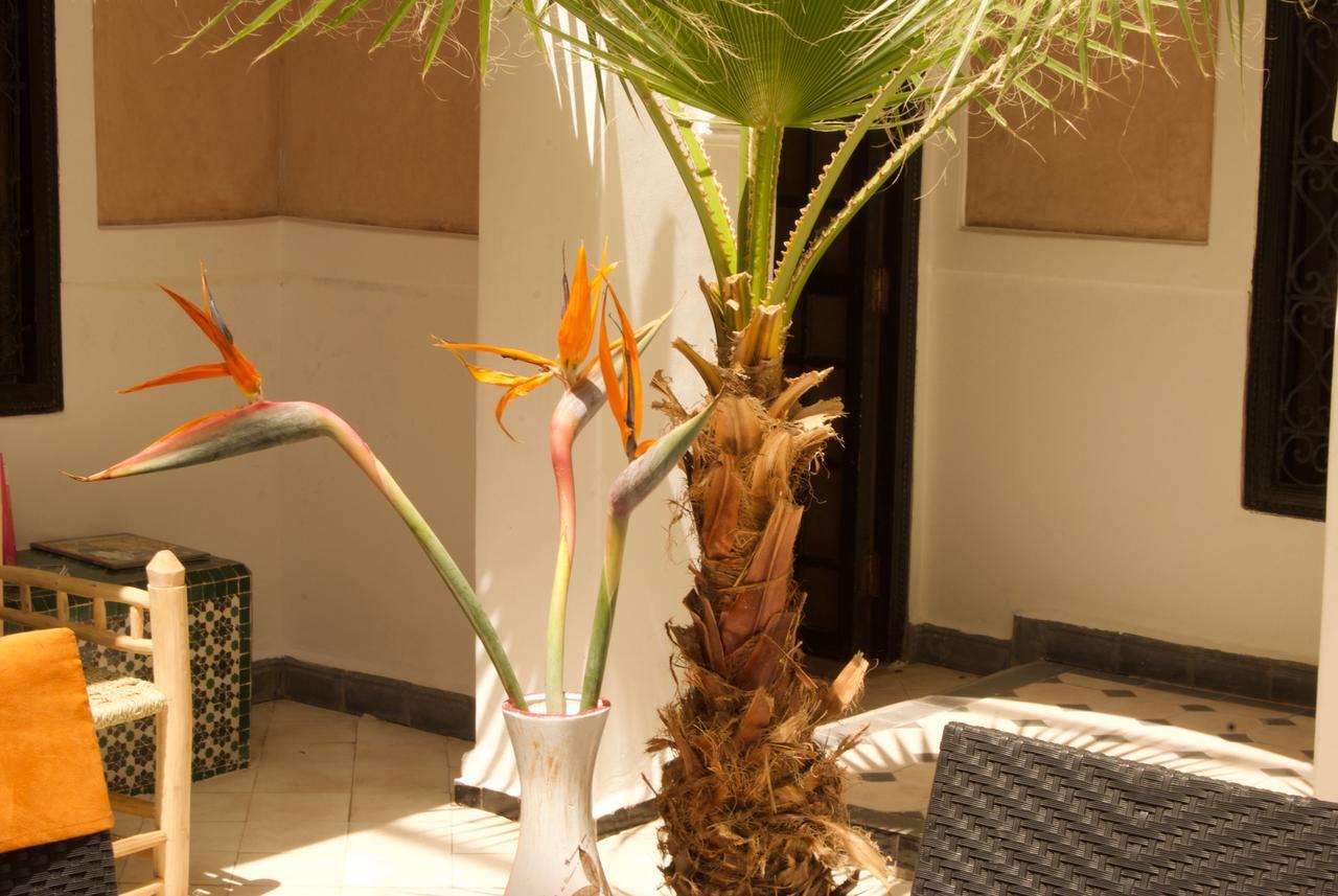 Riad Rockech Marrakesh Exterior foto